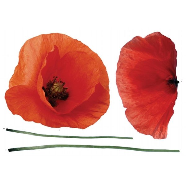 Chesterfield Poppies Wall Stickers CH890329